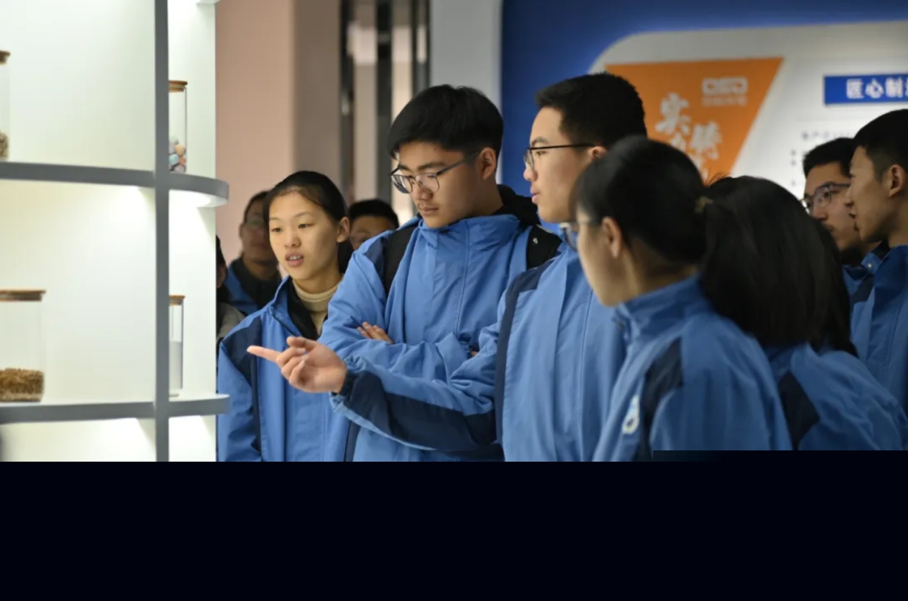 https://www.cn-amd.com/upload/ueditor/1733879982171150.png